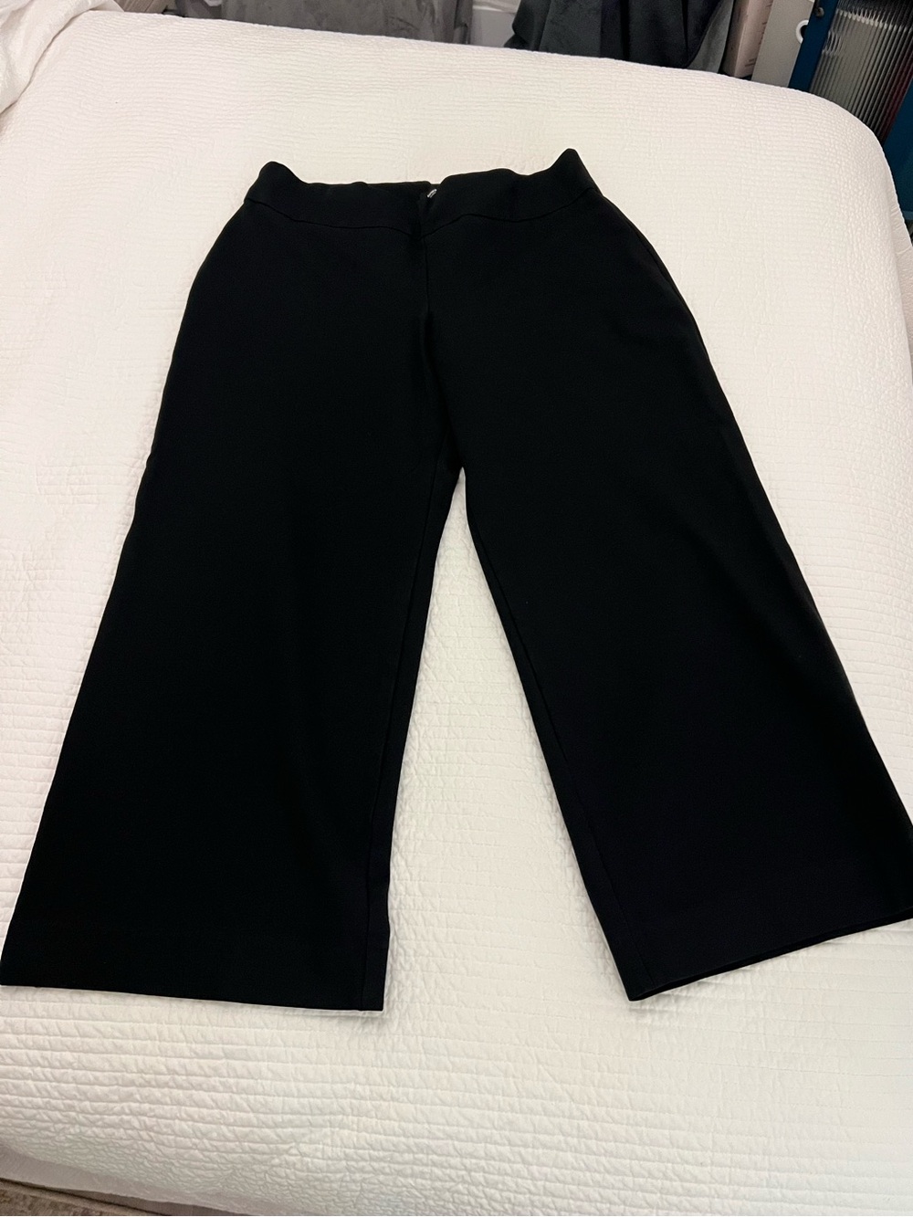 Express Columnist - Black Wide-Leg Pants